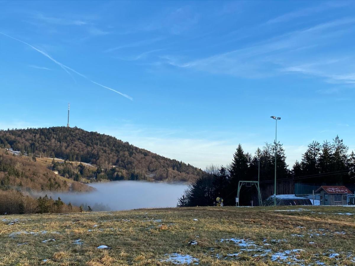 Mitten Im Bayerischen Wald-95M² Wohnung + *Netflix* Direkt Am Skilift! Schöfweg Eksteriør bilde
