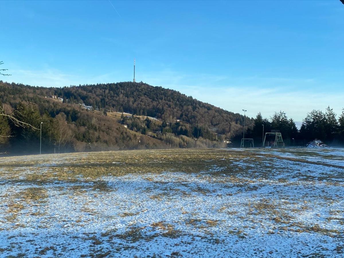 Mitten Im Bayerischen Wald-95M² Wohnung + *Netflix* Direkt Am Skilift! Schöfweg Eksteriør bilde