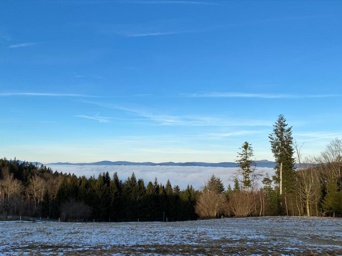 Mitten Im Bayerischen Wald-95M² Wohnung + *Netflix* Direkt Am Skilift! Schöfweg Eksteriør bilde