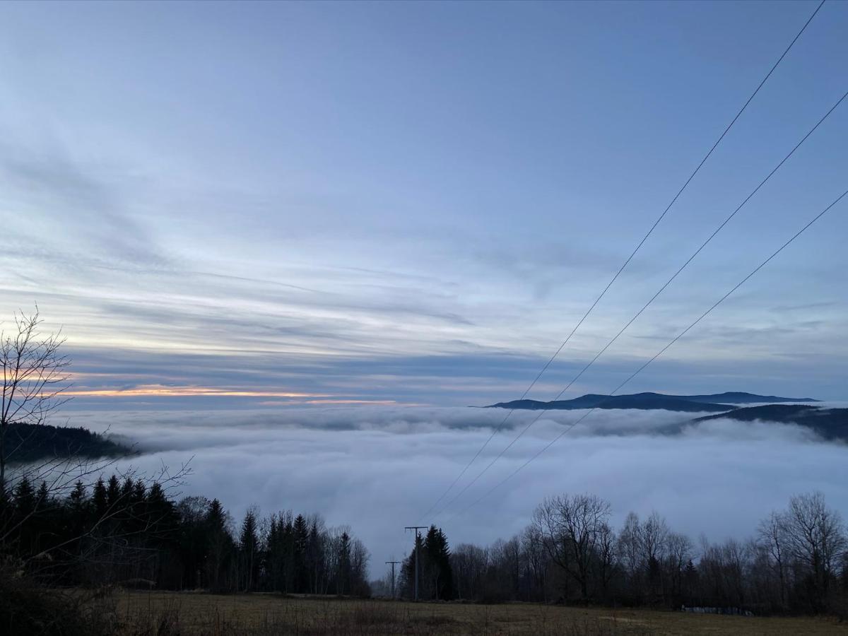 Mitten Im Bayerischen Wald-95M² Wohnung + *Netflix* Direkt Am Skilift! Schöfweg Eksteriør bilde