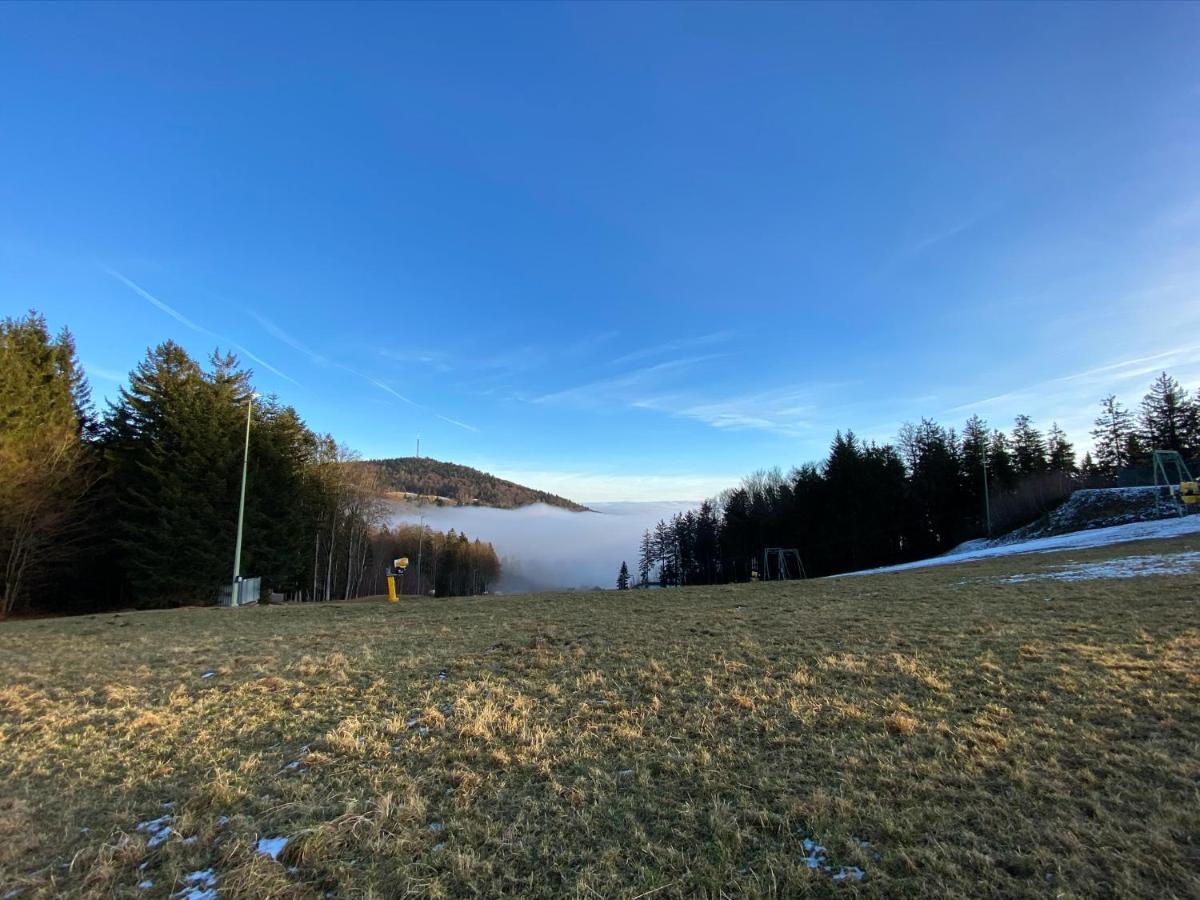 Mitten Im Bayerischen Wald-95M² Wohnung + *Netflix* Direkt Am Skilift! Schöfweg Eksteriør bilde
