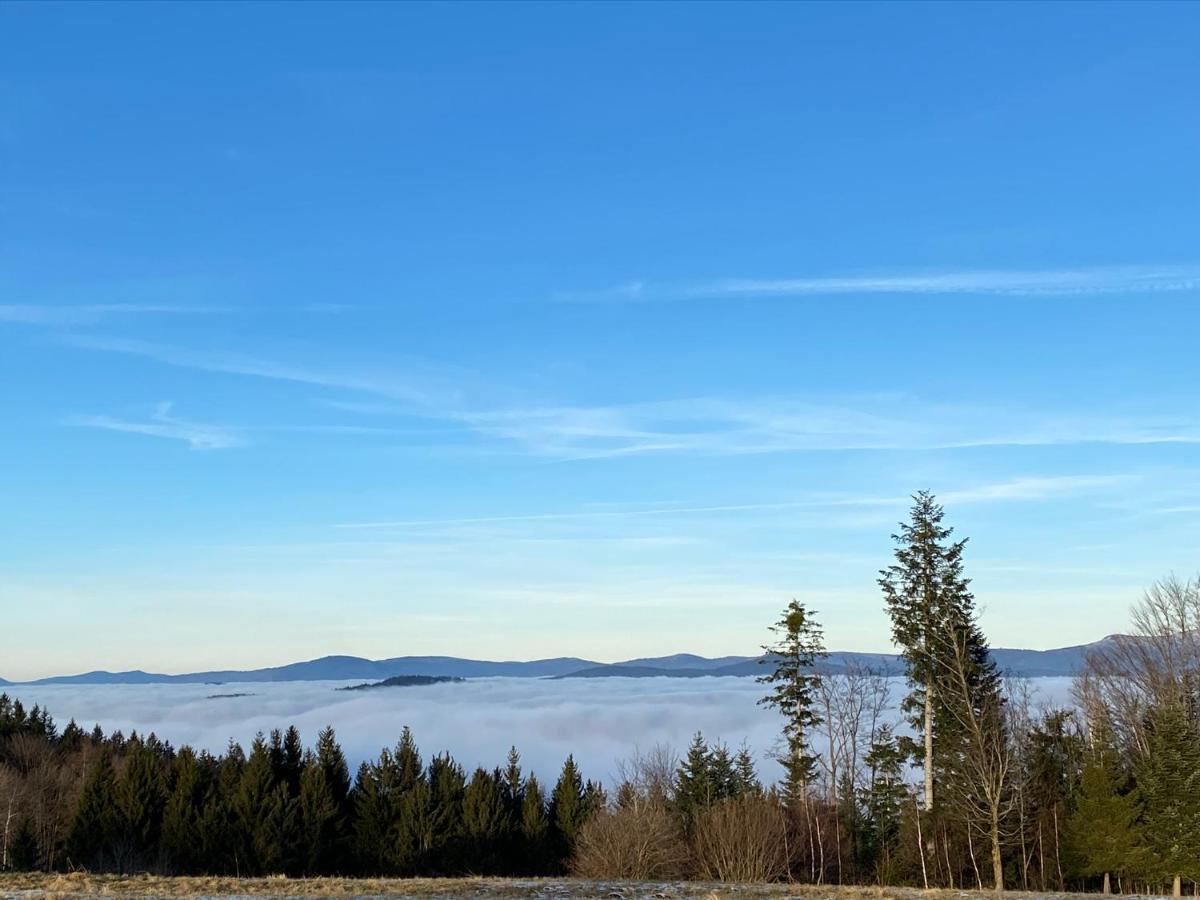 Mitten Im Bayerischen Wald-95M² Wohnung + *Netflix* Direkt Am Skilift! Schöfweg Eksteriør bilde